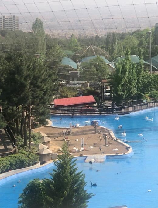 باغ پرندگان تهران بزرگ‌ترین باغ در خاورمیانه محیطی سرشار از آرامش با پرندگان نادر در جهان